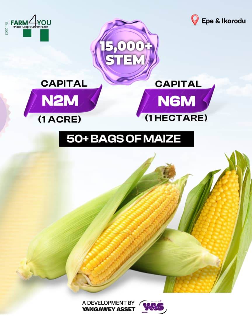 FARM 4 YOU - Image 3