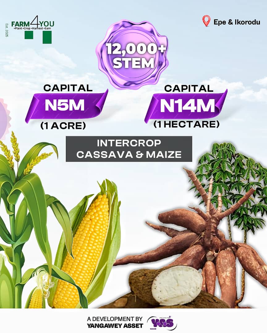 YANGAWEY ASSET REAL ESTATE FARM INVESTMENT