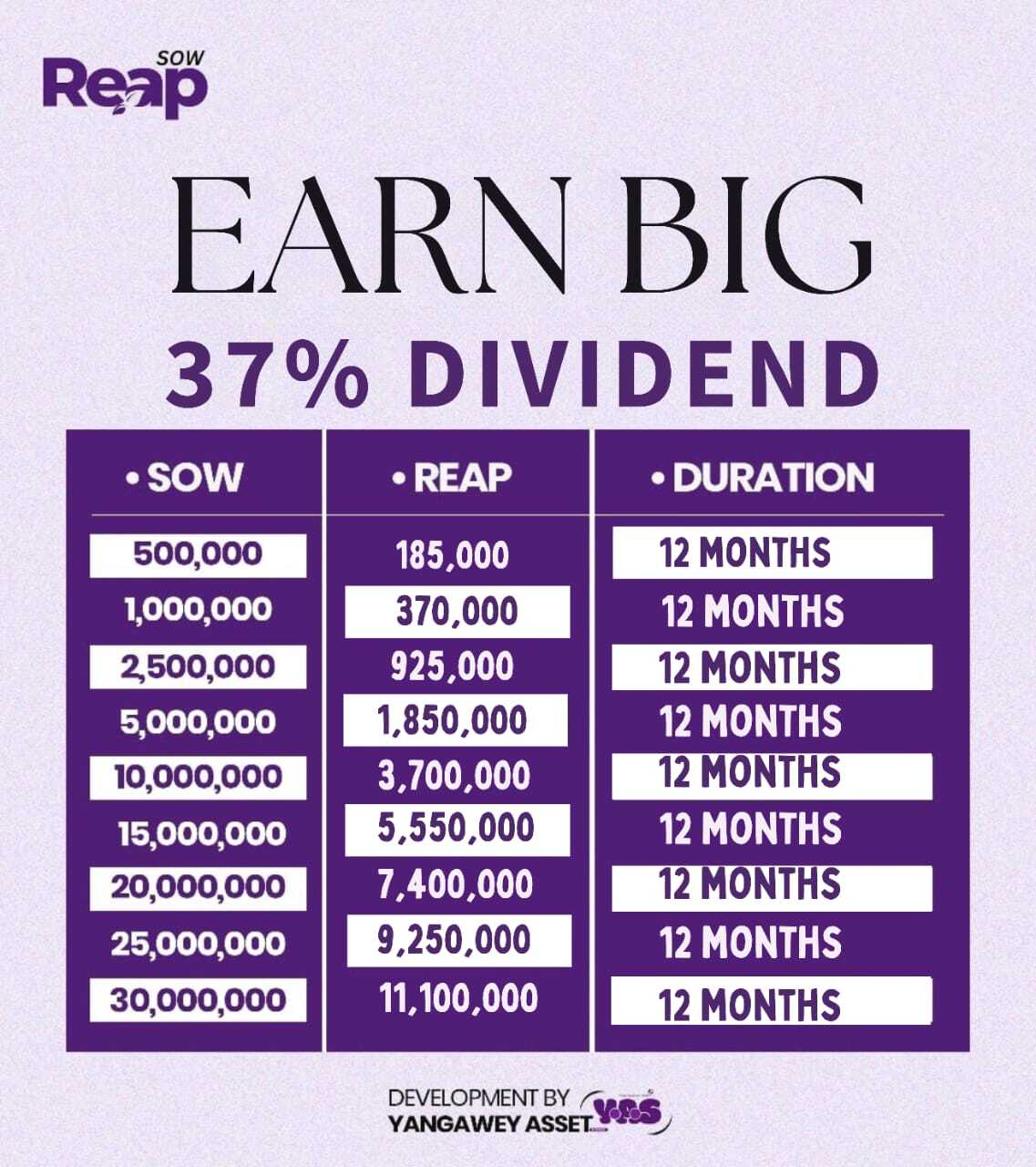 SOW & REAP INVESTMENT - Image 3